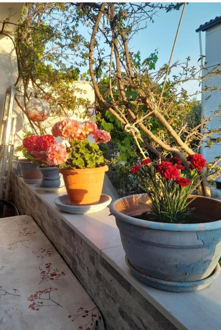 Cozy Maisonette In Pefkochori Chalkidiki Extérieur photo